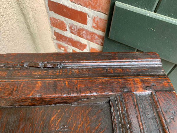 18th century English Carved Oak Coffer Trunk Chest Coffee Table Blanket Box