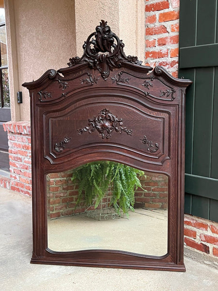 Antique French Trumeau Pier Wall Mirror Louis XV Carved Oak 19th century