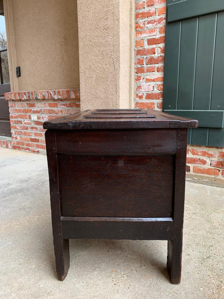 18th century English Carved Oak Coffer Trunk Chest Coffee Table Blanket Box
