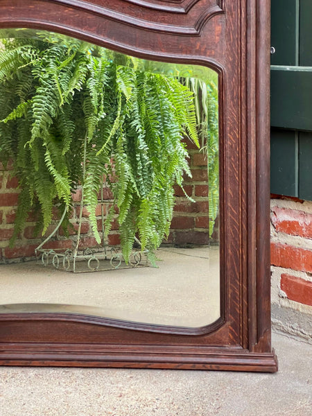 Antique French Trumeau Pier Wall Mirror Louis XV Carved Oak 19th century