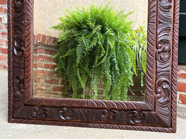 Antique French Pier Wall Mirror Renaissance Black Forest Lion Crest Carved Oak