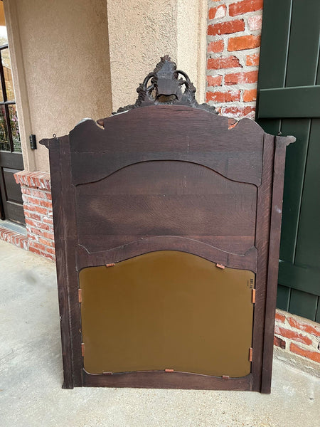 Antique French Trumeau Pier Wall Mirror Louis XV Carved Oak 19th century