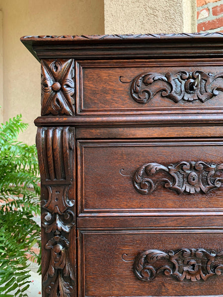 Antique French Carved Oak Tall Cabinet Faux Chest of Drawers Louis XIV style