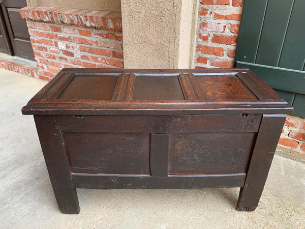 18th century English Carved Oak Coffer Trunk Chest Coffee Table Blanket Box