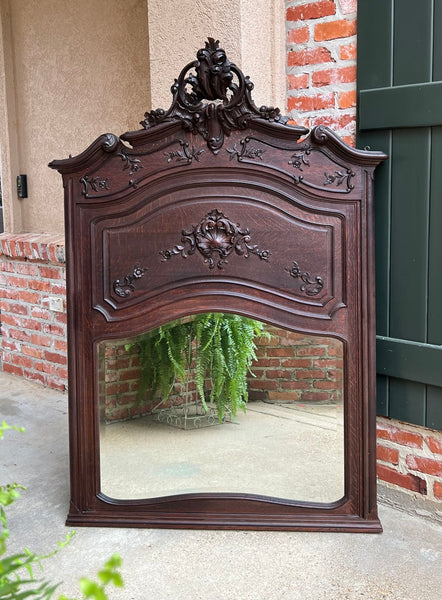 Antique French Trumeau Pier Wall Mirror Louis XV Carved Oak 19th century