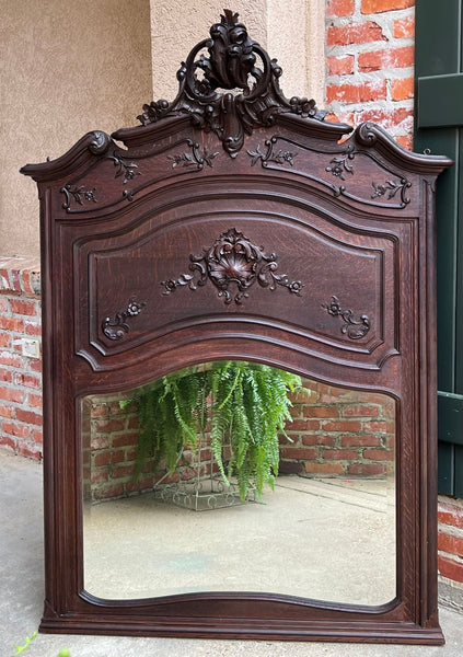 Antique French Trumeau Pier Wall Mirror Louis XV Carved Oak 19th century
