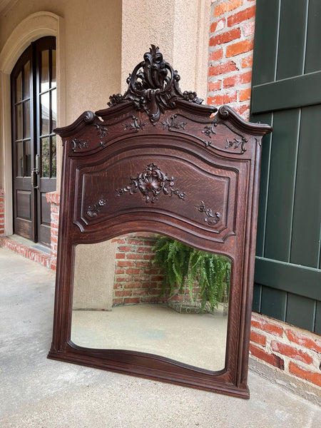 Antique French Trumeau Pier Wall Mirror Louis XV Carved Oak 19th century