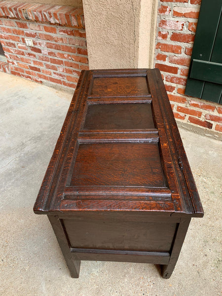 18th century English Carved Oak Coffer Trunk Chest Coffee Table Blanket Box