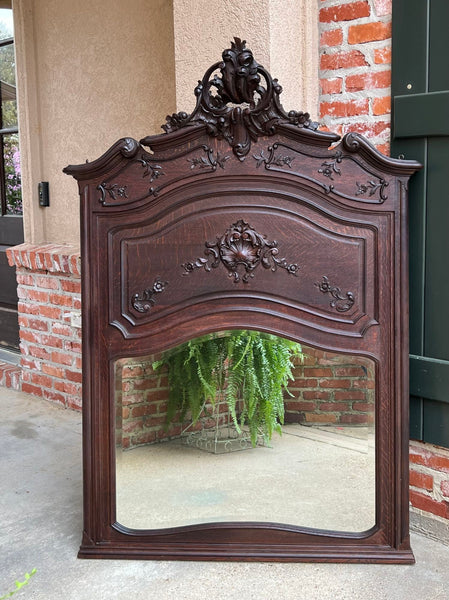 Antique French Trumeau Pier Wall Mirror Louis XV Carved Oak 19th century