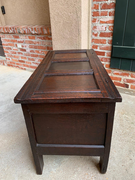 18th century English Carved Oak Coffer Trunk Chest Coffee Table Blanket Box