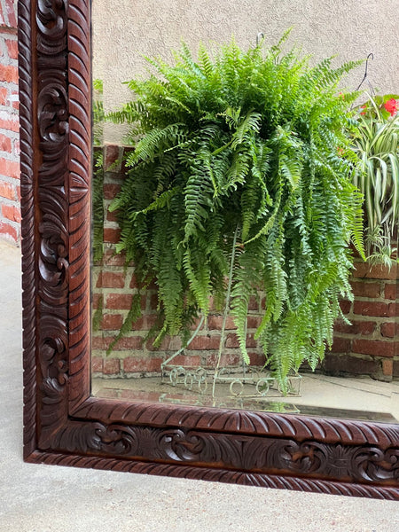 Antique French Pier Wall Mirror Renaissance Black Forest Lion Crest Carved Oak