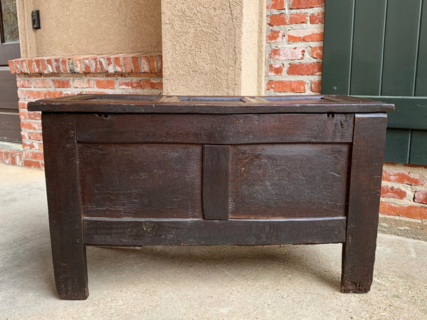 18th century English Carved Oak Coffer Trunk Chest Coffee Table Blanket Box