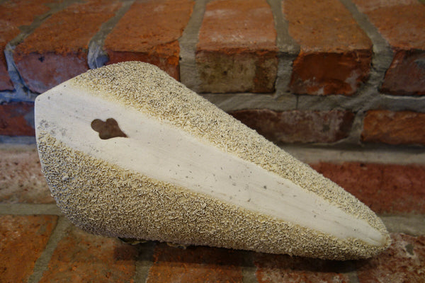 Antique French Majolica Barbotine Wall Pocket Flower Vase Confetti Staffordshire