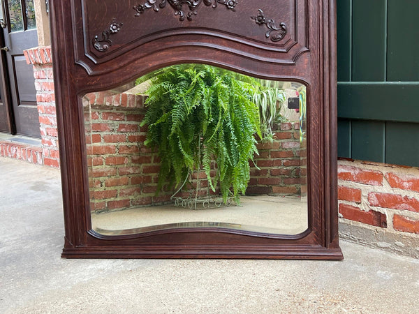 Antique French Trumeau Pier Wall Mirror Louis XV Carved Oak 19th century