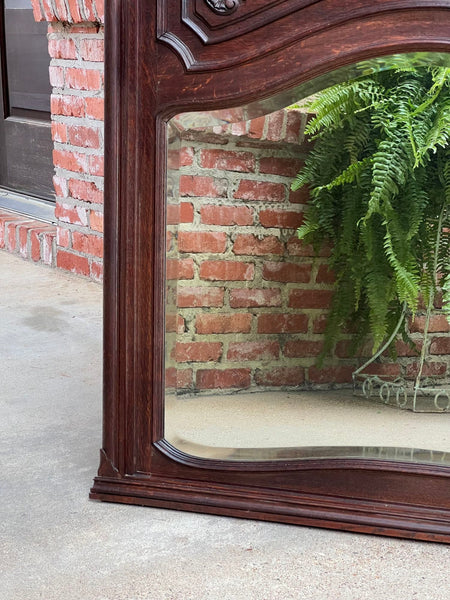 Antique French Trumeau Pier Wall Mirror Louis XV Carved Oak 19th century