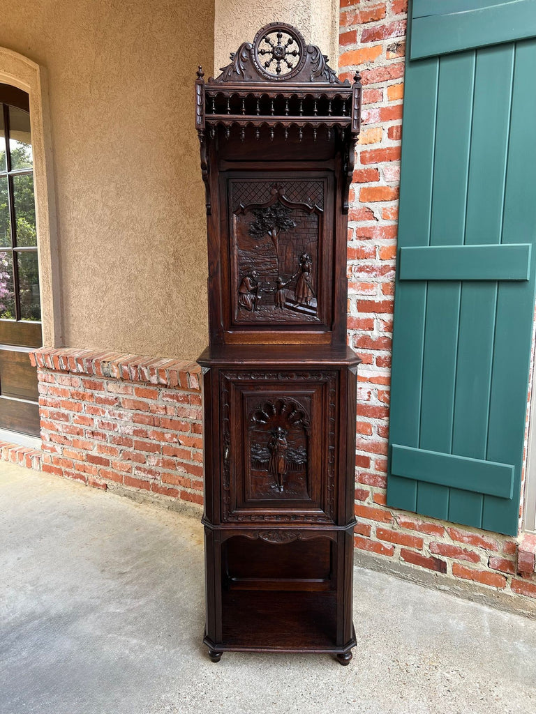 Antique French Breton Hall Cabinet Tall Narrow Carved Crown Bookcase c1880