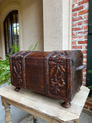 Antique French Carved Oak Petite Trunk Chest Black Forest Faux Bois Planter Box