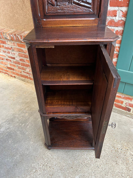 Antique French Breton Hall Cabinet Tall Narrow Carved Crown Bookcase c1880