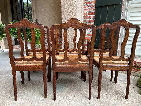 Set 6 Antique French Dining Chairs Carved Oak Rush Seat Louis XV Arm and Side