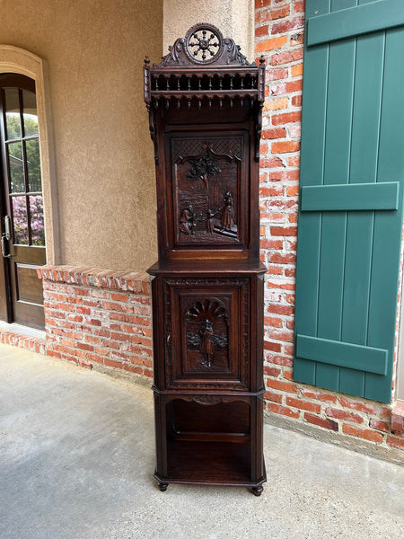 Antique French Breton Hall Cabinet Tall Narrow Carved Crown Bookcase c1880