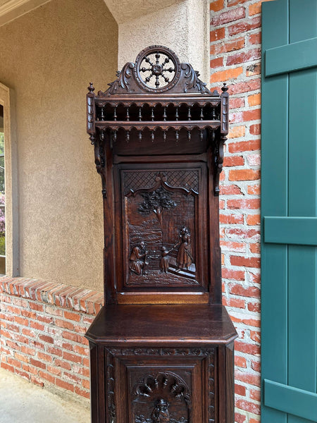 Antique French Breton Hall Cabinet Tall Narrow Carved Crown Bookcase c1880