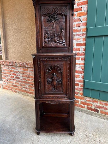 Antique French Breton Hall Cabinet Tall Narrow Carved Crown Bookcase c1880