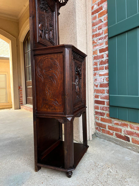 Antique French Breton Hall Cabinet Tall Narrow Carved Crown Bookcase c1880