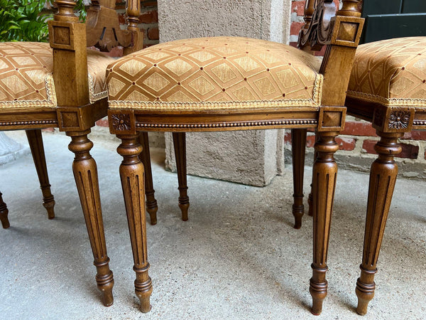 Set 4 Antique French Louis XVI Salon Chairs Petite Dining Parlor Carved Walnut