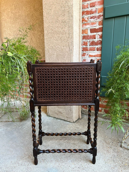 Antique English Oak Canterbury Music Magazine Stand BARLEY TWIST c1890