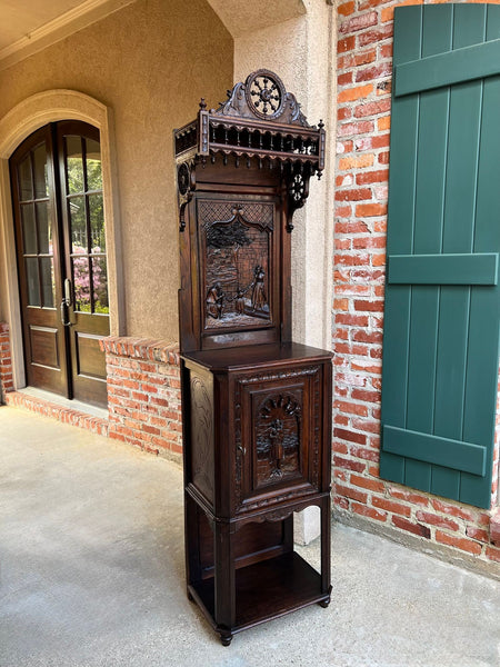 Antique French Breton Hall Cabinet Tall Narrow Carved Crown Bookcase c1880