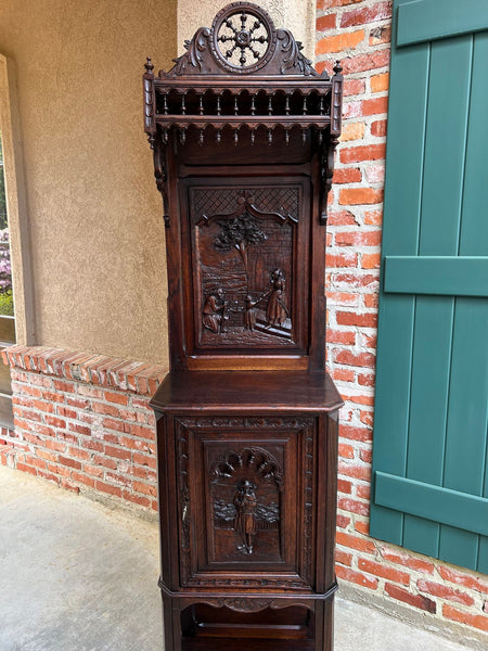 Antique French Breton Hall Cabinet Tall Narrow Carved Crown Bookcase c1880