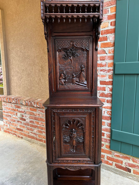 Antique French Breton Hall Cabinet Tall Narrow Carved Crown Bookcase c1880