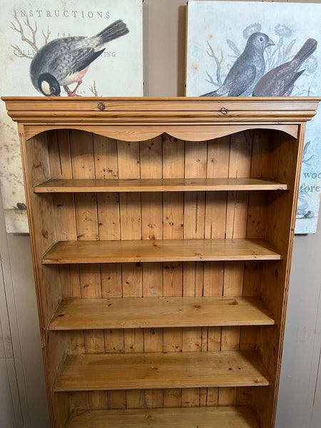 Antique English Country Pine Bookcase Bookshelf Tall Narrow Open Shelf c1900