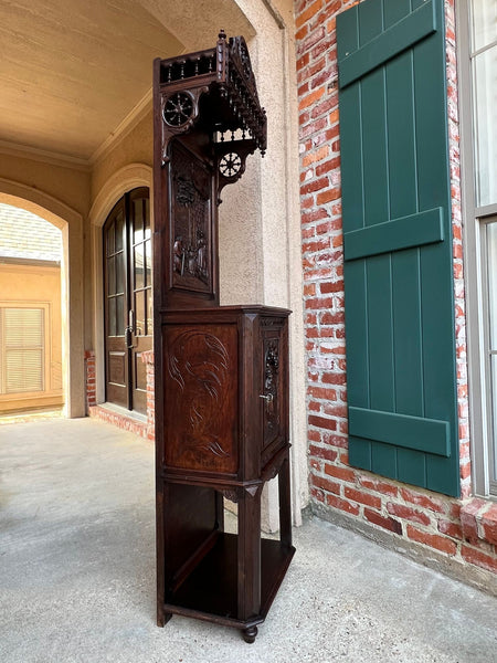 Antique French Breton Hall Cabinet Tall Narrow Carved Crown Bookcase c1880