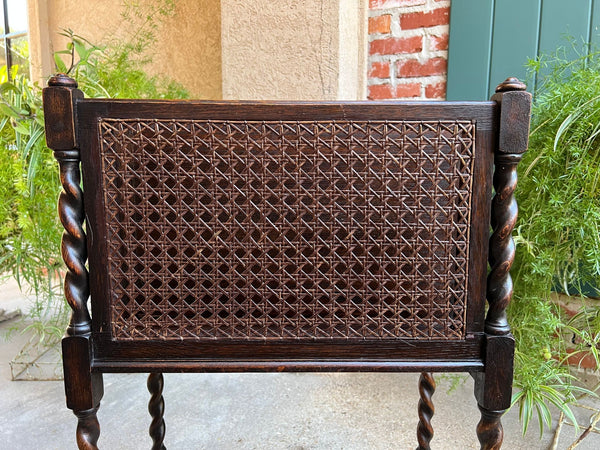 Antique English Oak Canterbury Music Magazine Stand BARLEY TWIST c1890