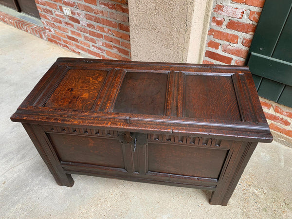 18th century English Carved Oak Coffer Trunk Chest Coffee Table Blanket Box