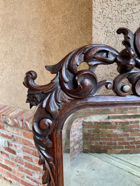 19th century Antique French Carved Oak Pier Mantel Mirror Renaissance Louis XIV