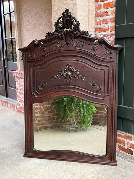 Antique French Trumeau Pier Wall Mirror Louis XV Carved Oak 19th century